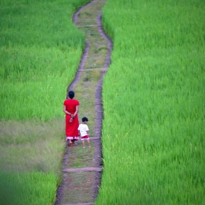 Village Life