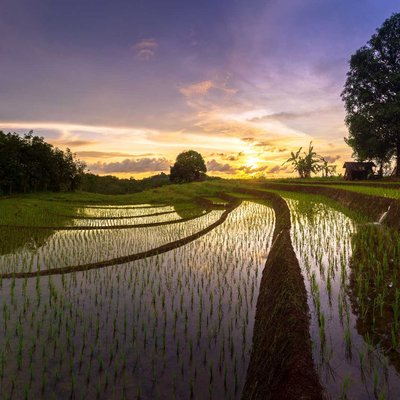reflection sky in rice fields water terrace fields