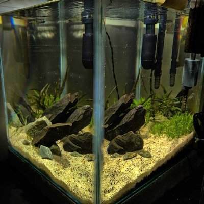 Aquascape 