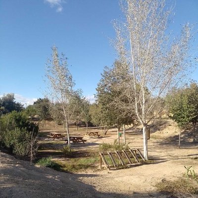 Zona de picnic
