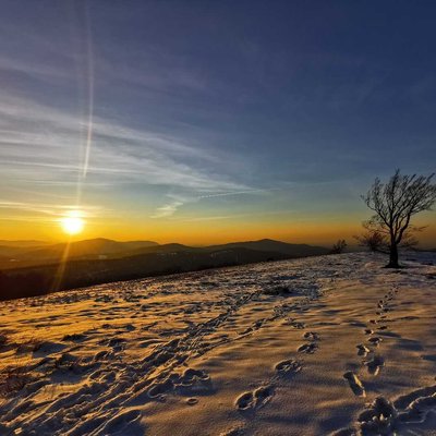 Hala Jaworowa, Beskidy