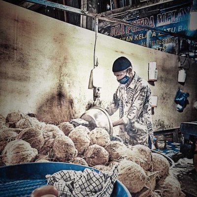Berdagang Kelapa dan Berbisnis