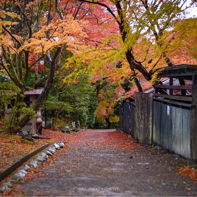 Autumn in kyoto
