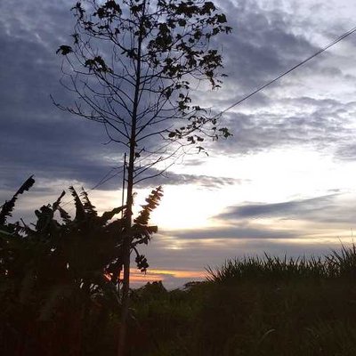 melukis senja