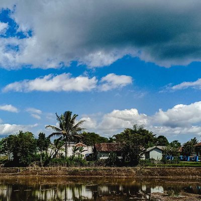 my village