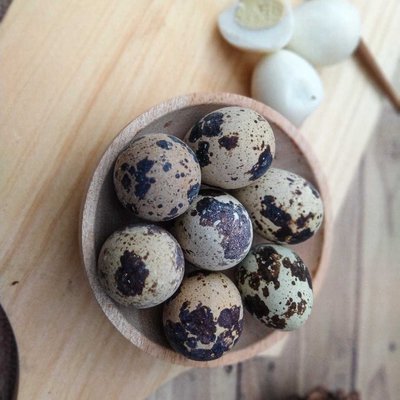Telur Puyuh