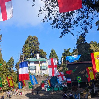 Fifa World Cup Fever!