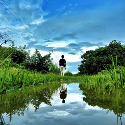 Reflection Shot