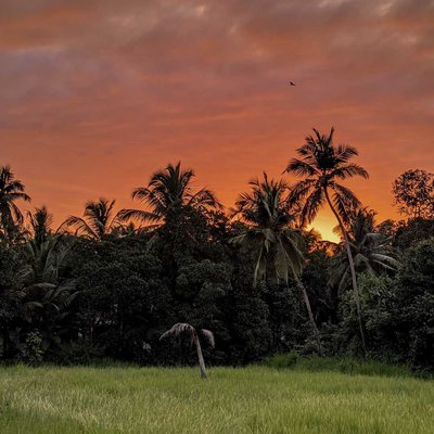 evening
