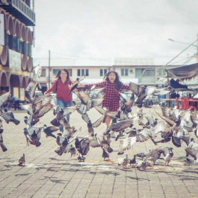 • Chasing Pigeons II •