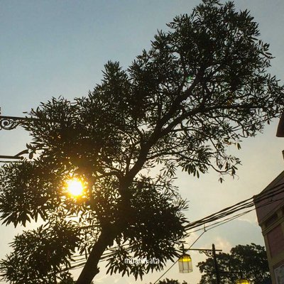 Cianjur