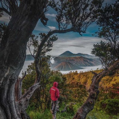 Bromo mountain 