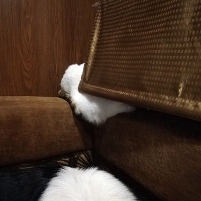 테스트