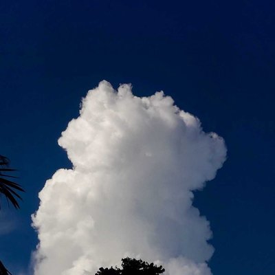 Hunter clouds! 