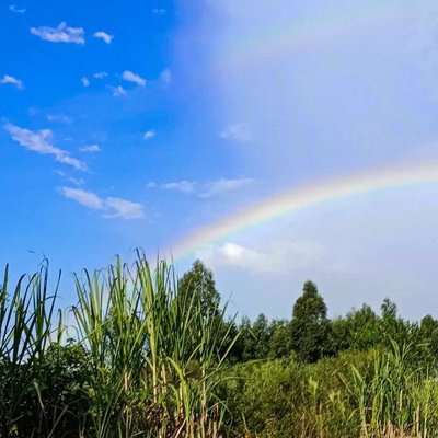 🌈 ARCOIRIS 🌈