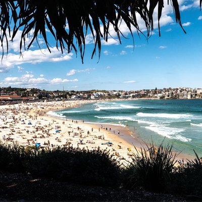 Bondi Beach
