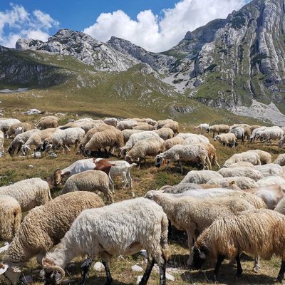 Durmitor, Montenegro 