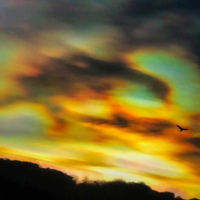 Capture it before it disappears