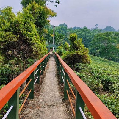 Beautiful Path ❤️