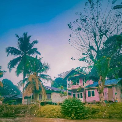 Home in Forest