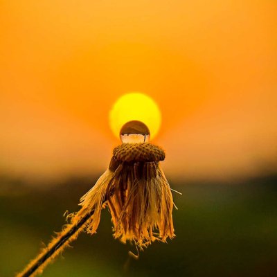 Creative shot with sun ☀