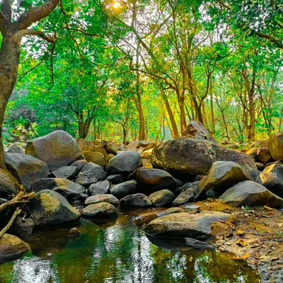 NALDHA CAMPSITE , Dahod , Gujarat , India 