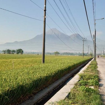 Pegunungan Penanggungan