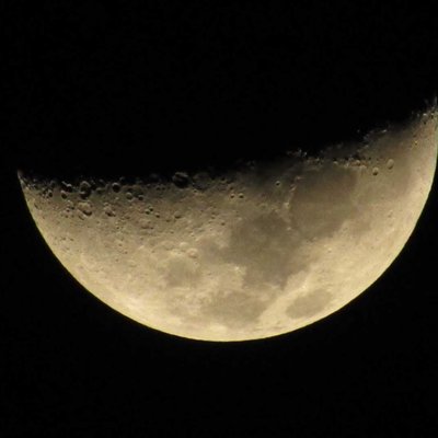 THE HALF MOON