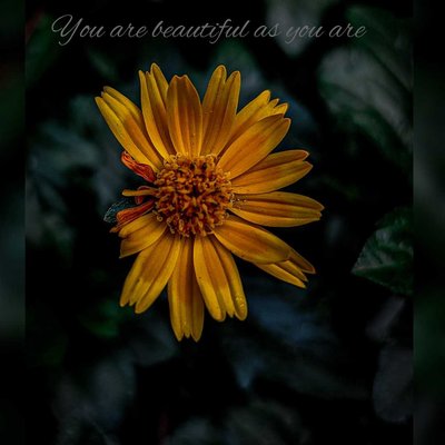 YOU'RE  BEAUTIFUL AS YOU ARE❤