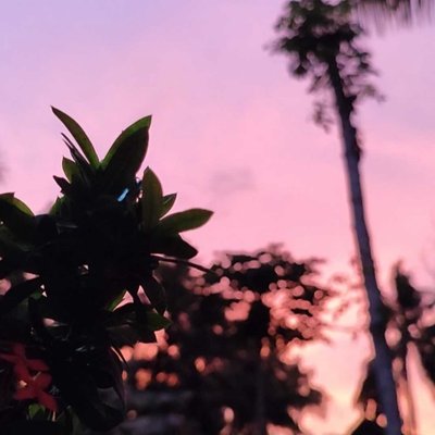 senja