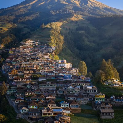Nepal Van Java