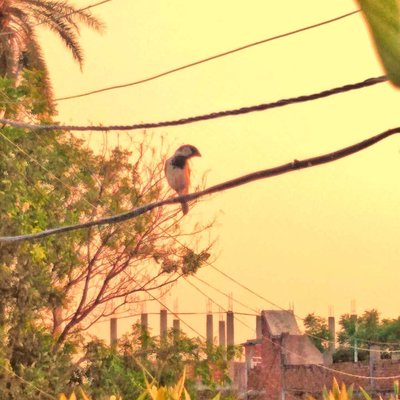 Rao Aryan Photography 