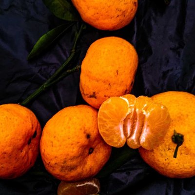 Jeruk Mandarin
