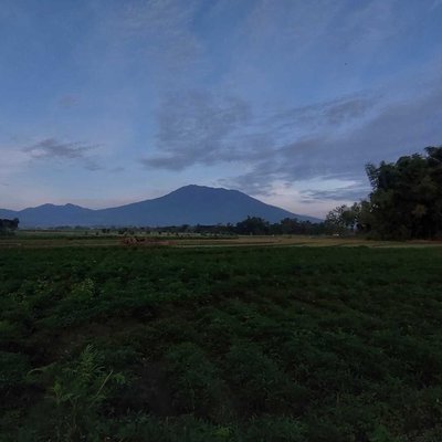 Silent Morning 