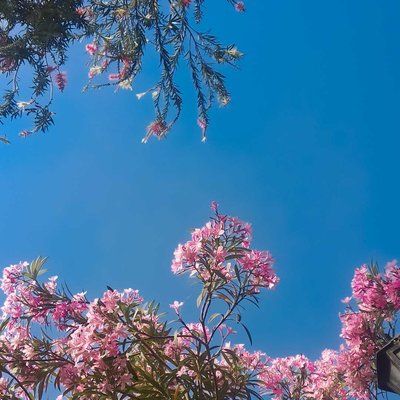 Nature's beauty 