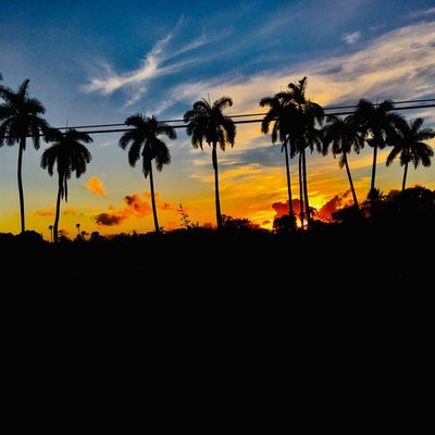 sunset 
