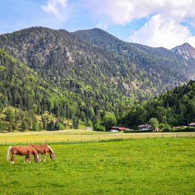 Pure nature. 