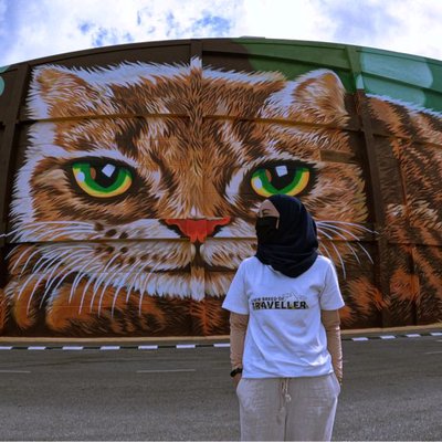 Huge cat mural at new shopping mall at Petra Jaya Kuching