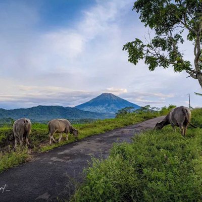 Wonderful Indonesia