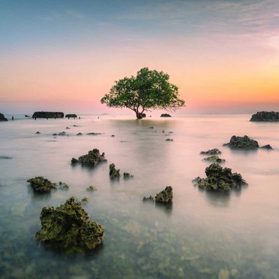 Beautiful Scenery