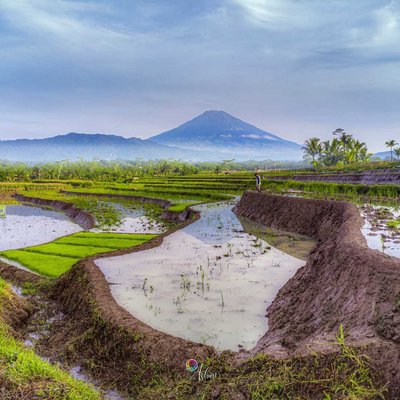 Ngendrosari, Kajoran