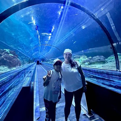 Shark Encounter