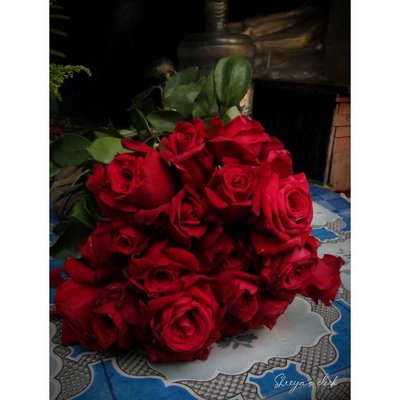 Rose