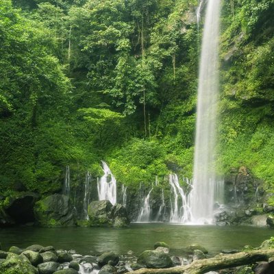 Langkuik Tamiang