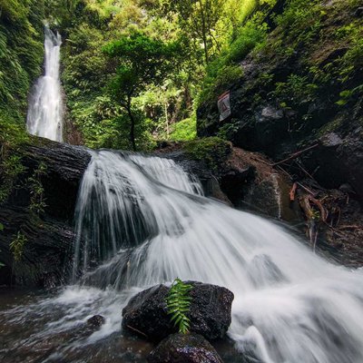 Beauty Nature