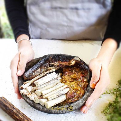Umbut Rotan Bakar