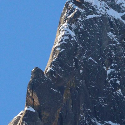 Horns of Himalayas 