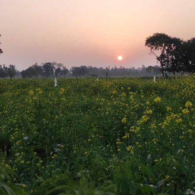 sunset at Farm 😍