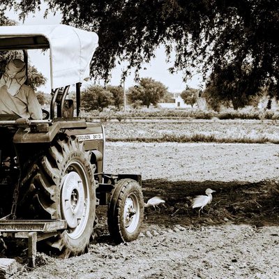 agriculture farming 