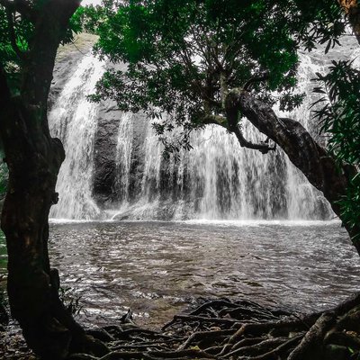 Anayadikuthu Waterfalls